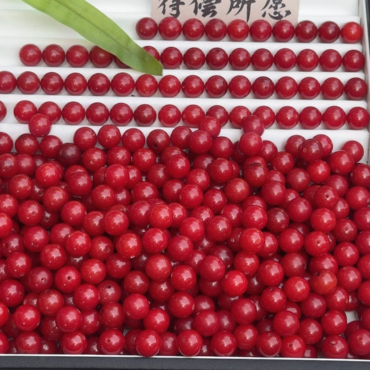 【11mm Red】 Fantast High Quality Natural Bodhi Beads