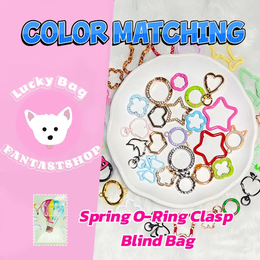 Spring O‑Ring Clasp Blind Bag（2Pcs/Bag) - Open in live
